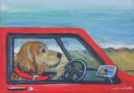 [Dog in Red Truck]